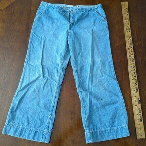 Express Wide Legged Jeans